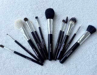 MNB 12 PIECE BRUSH KIT